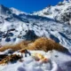 उत्तराखंड में मौसम ने बदली करवट, औली समेत हर्षिल वैली में हुई बर्फ़बारी