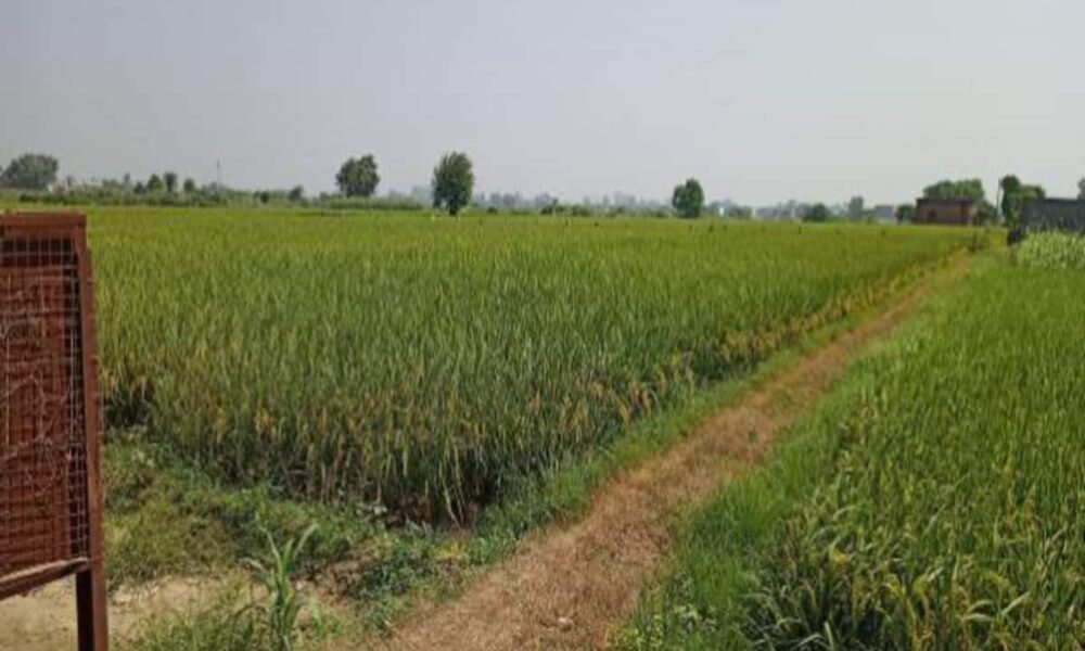 heat of ghaziabad plot fraud reached lucknow 30 engineers found envolved