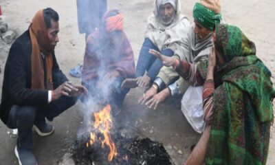 Rajasthan Weather: राजस्थान में शीतलहर का असर, इन जिलों में के लिए IMD का अलर्ट; कब मिलेगी राहत?