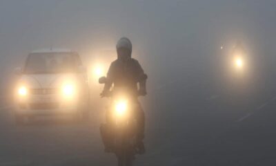 भीषण ठंड की चपेट में एमपी, IMD ने जारी किया घने कोहरे का अलर्ट, जान लें अपने इलाके का हाल