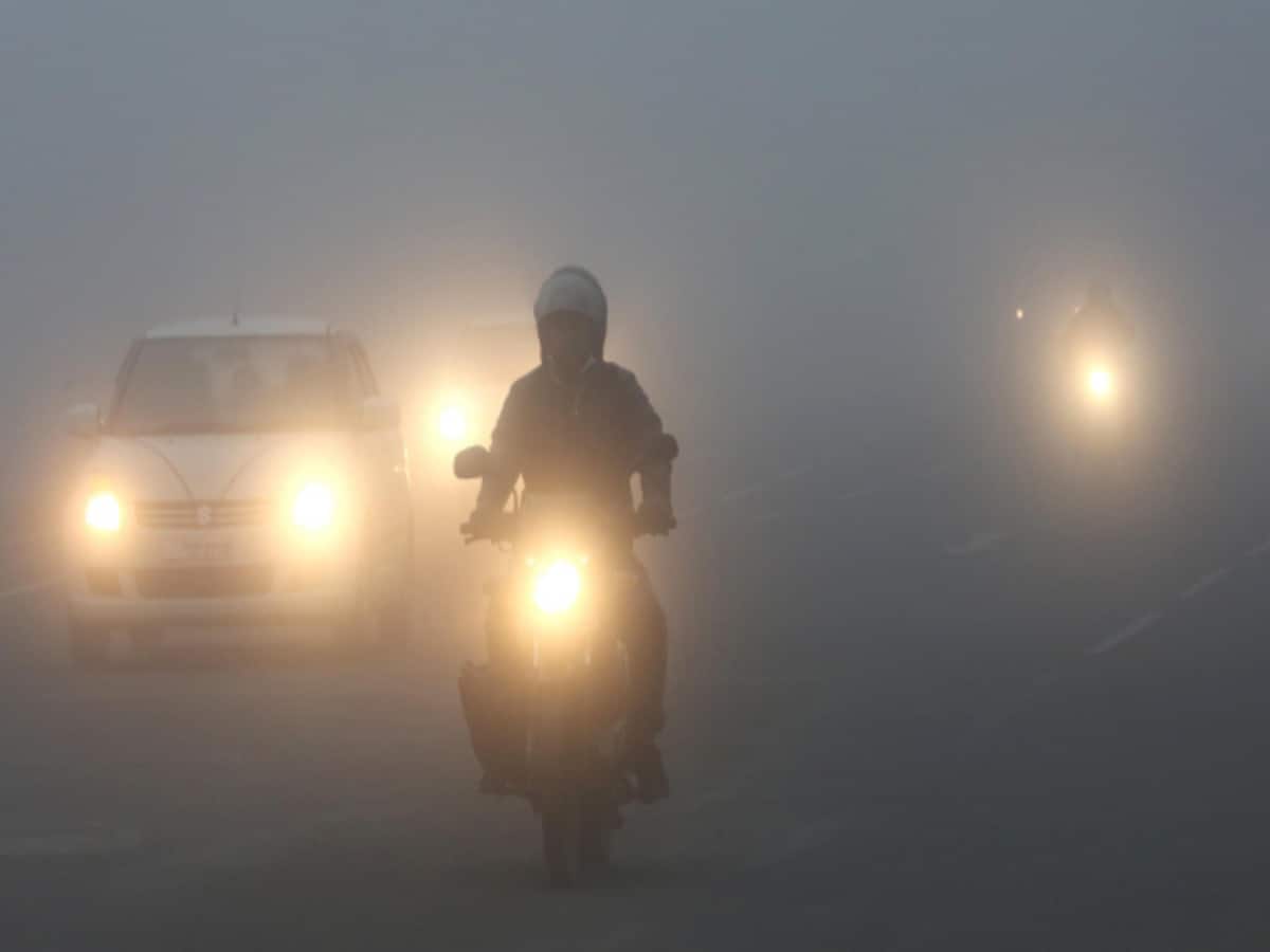 भीषण ठंड की चपेट में एमपी, IMD ने जारी किया घने कोहरे का अलर्ट, जान लें अपने इलाके का हाल भीषण ठंड की चपेट में एमपी, IMD ने जारी किया घने कोहरे का अलर्ट, जान लें अपने इलाके का हाल