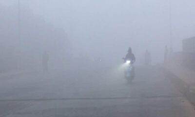 कोहरे के सितम से बढ़ी टेंशन, 13 में से हरिद्वार समेत 3 जिलों में स्कूल बंद; उत्तराखंड मौसम पूर्वानुमान में अलर्ट