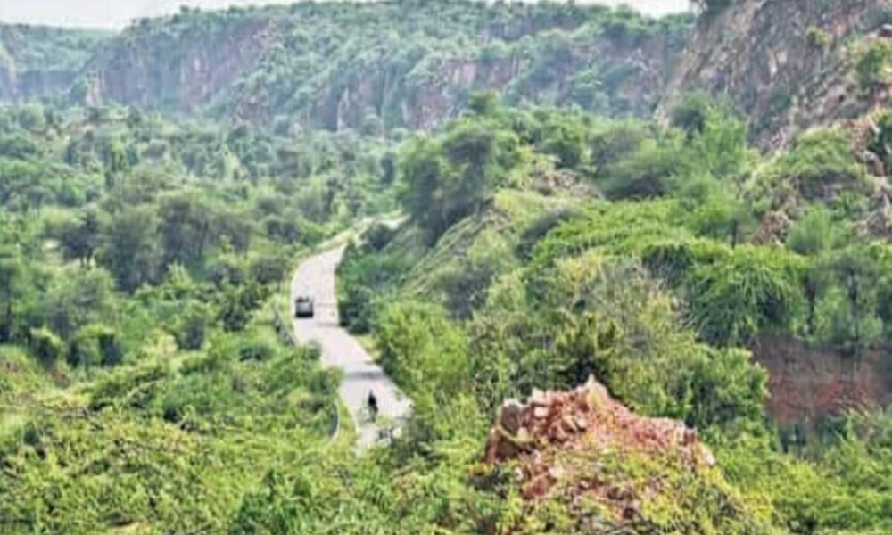 अरावली पहाड़ियों में धड़ल्ले से बन रहे होटल रिसोर्ट, लैंड कन्वर्जन पर रोक लगाने की तैयारी