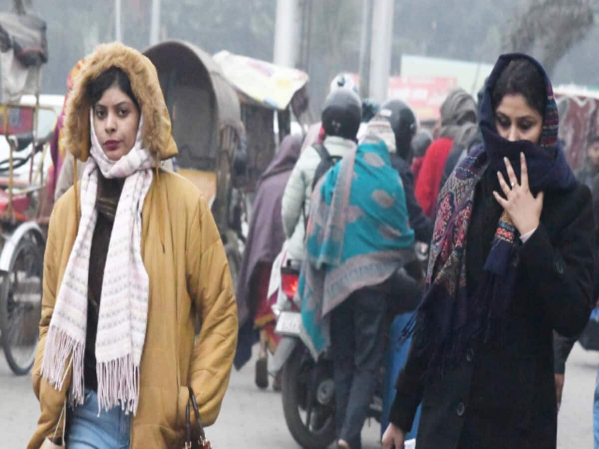 कोहरे से मिलेगी राहत या जारी रहेगी कड़ाके की ठंड, एमपी में मौसम पर आईएमडी का अपडेट