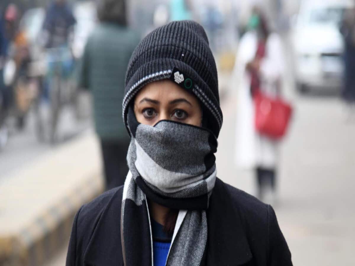 rajasthan weather update 12 february cold fog jaipur imd update mausam