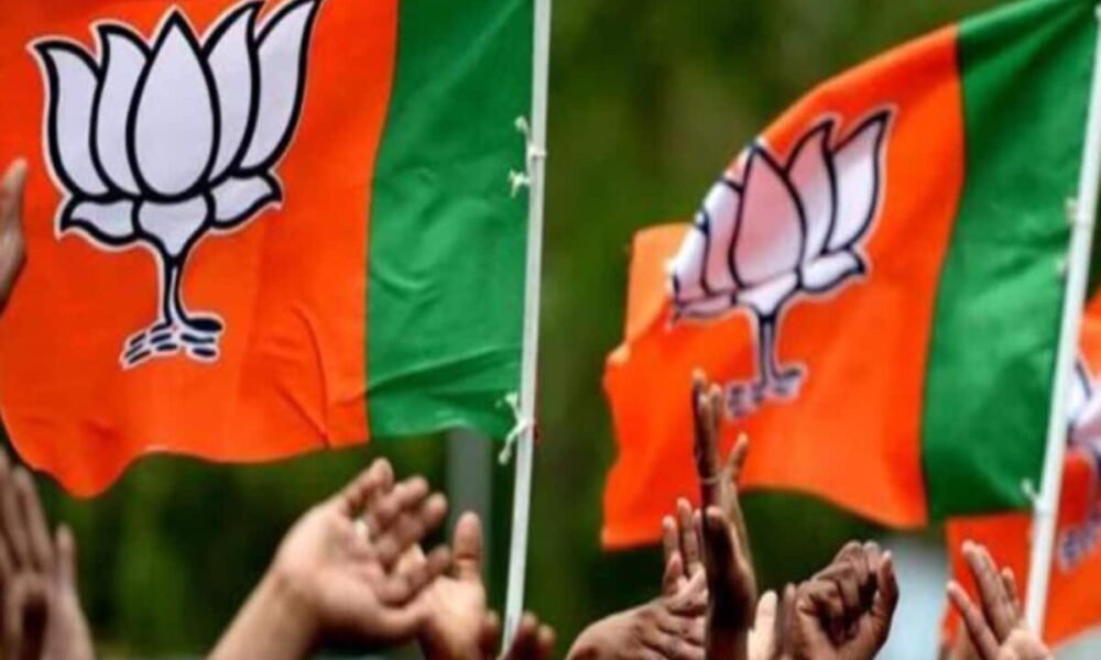बढ़े चेहरे और विधायकों को भाजपा दे सकती लोकसभा चुनाव में मौका, जानें किन नामों पर चर्चा तेज