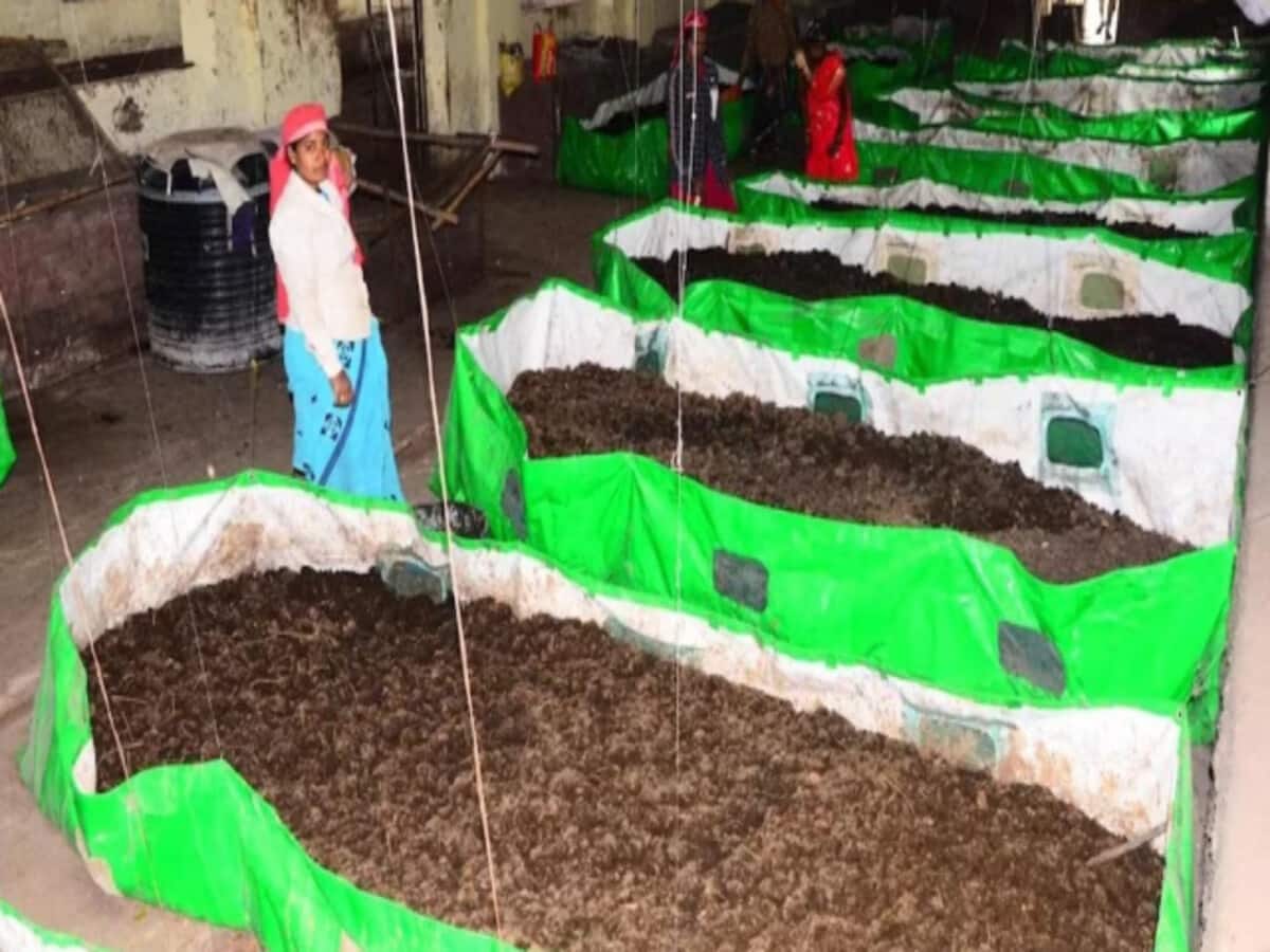 कांग्रेस सरकार की गोबर खरीदारी योजना आगे भी चलाएगी साय सरकार, 287 करोड़ के खरीदी की अब होगी जांच कांग्रेस सरकार की गोबर खरीदारी योजना आगे भी चलाएगी साय सरकार, 287 करोड़ के खरीदी की अब होगी जांच