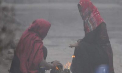 MP Weather today 29 january respite from cold and fog temperature rises relief for next 2 days mausam ka haal