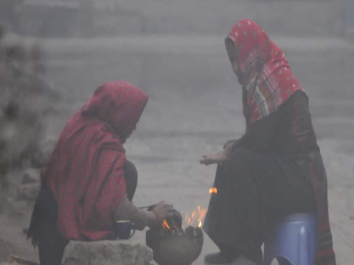 MP Weather today 29 january respite from cold and fog temperature rises relief for next 2 days mausam ka haal MP Weather today 29 january respite from cold and fog temperature rises relief for next 2 days mausam ka haal