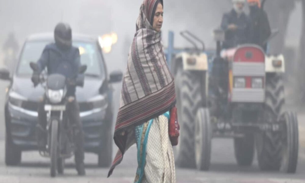 Madhya Pradesh weather update these districts are in the grip of cold wave