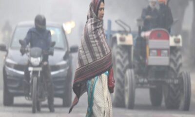 Madhya Pradesh weather update these districts are in the grip of cold wave