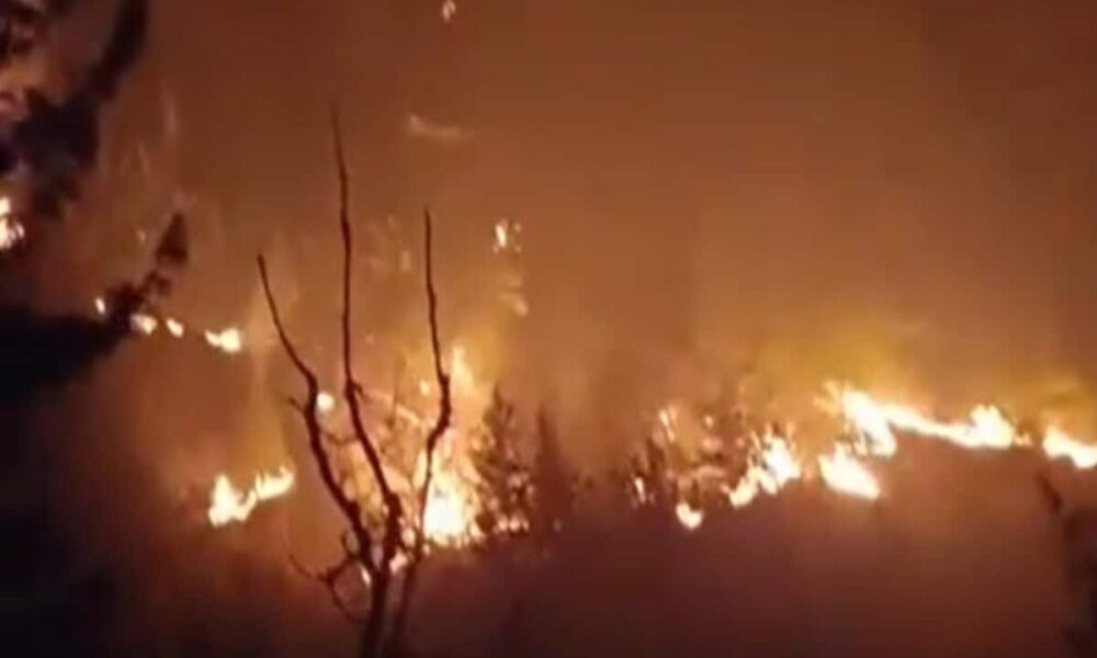 सर्दियों में भी जंगलों में लग रही आग, बागेश्वर में बारिश की कमी से वनाग्नि हुई बेकाबू