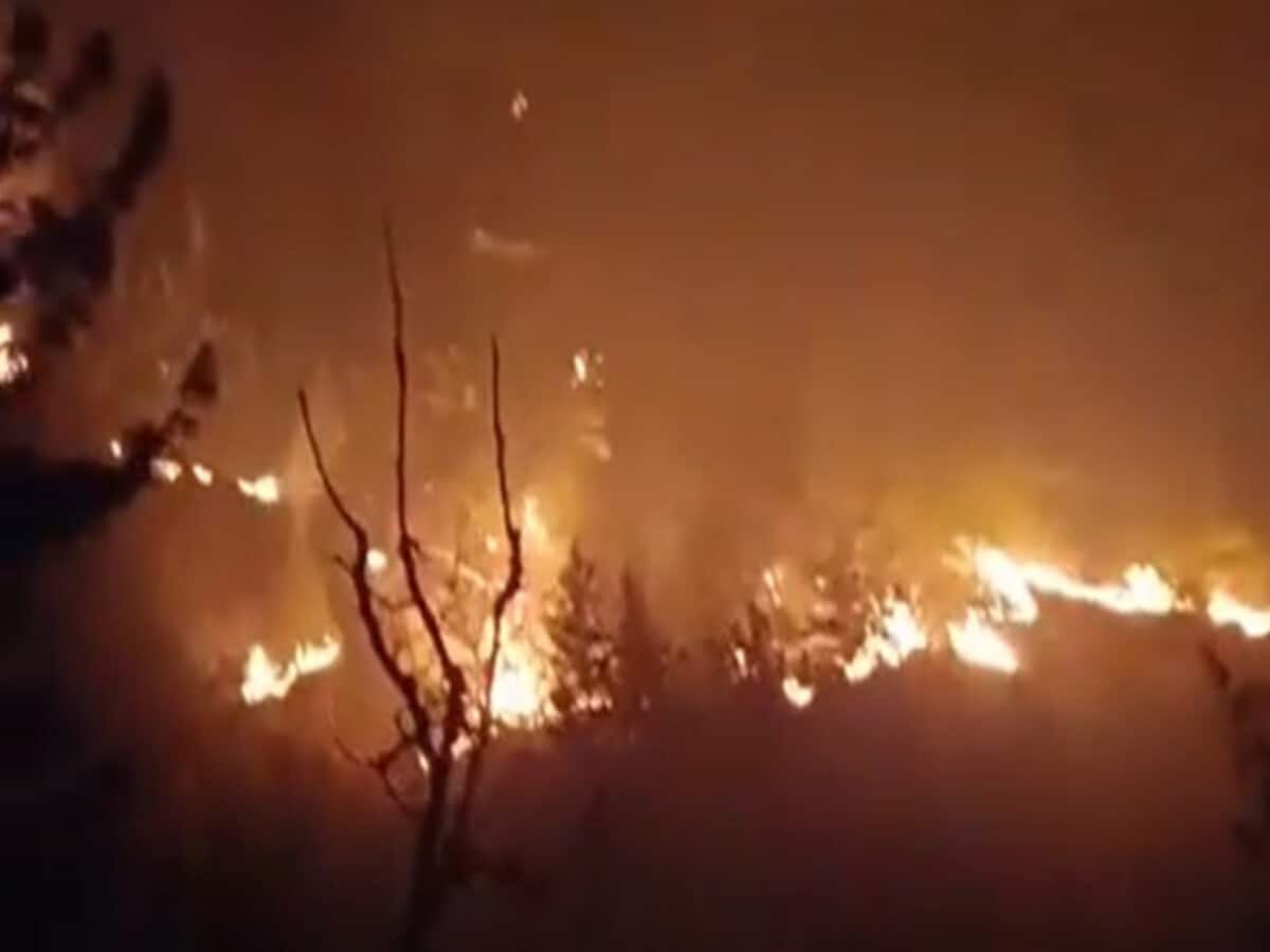 सर्दियों में भी जंगलों में लग रही आग, बागेश्वर में बारिश की कमी से वनाग्नि हुई बेकाबू सर्दियों में भी जंगलों में लग रही आग, बागेश्वर में बारिश की कमी से वनाग्नि हुई बेकाबू