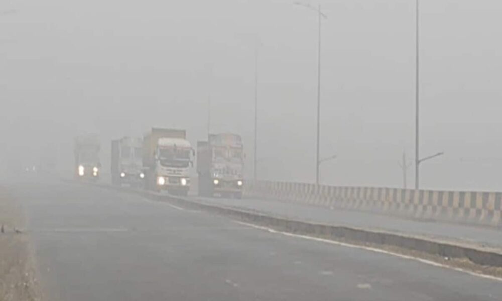 madhya pradesh weather cold waves conditions to prevail Gwalior coldest in state IMD update on relief