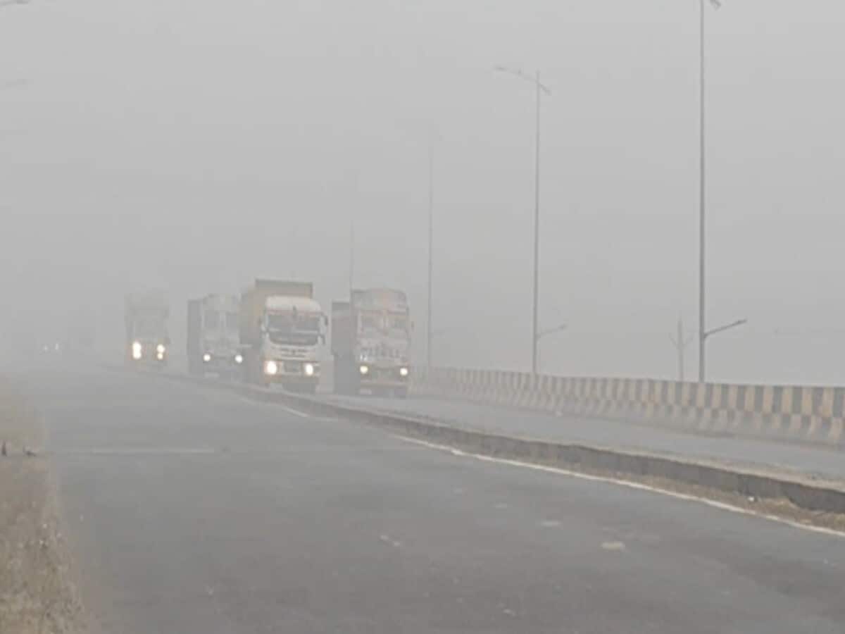 madhya pradesh weather cold waves conditions to prevail Gwalior coldest in state IMD update on relief madhya pradesh weather cold waves conditions to prevail Gwalior coldest in state IMD update on relief
