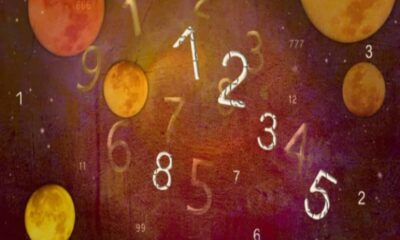 Weekly Numerology Horoscope 29 January – 4 February 2024 saptahik Ank Jyotish rashifal know your future by date of birth