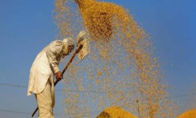 छत्तीसगढ़ में टूटा 23 सालों की धान खरीदी का रिकार्ड, मोदी की गारंटी पर किसानों का भरोसा दिखा