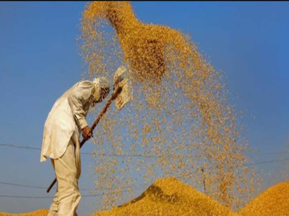 छत्तीसगढ़ में टूटा 23 सालों की धान खरीदी का रिकार्ड, मोदी की गारंटी पर किसानों का भरोसा दिखा छत्तीसगढ़ में टूटा 23 सालों की धान खरीदी का रिकार्ड, मोदी की गारंटी पर किसानों का भरोसा दिखा