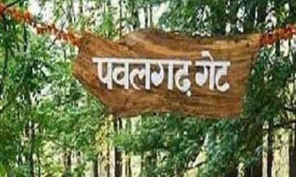 रॉयल बंगाल टाइगर-एशियाई हाथी के घर पवलगढ़ कंजर्वेशन रिजर्व को मिलेगा नया नाम, प्राण प्रतिष्ठा 22 जनवरी के बाद होगी यह पहचान