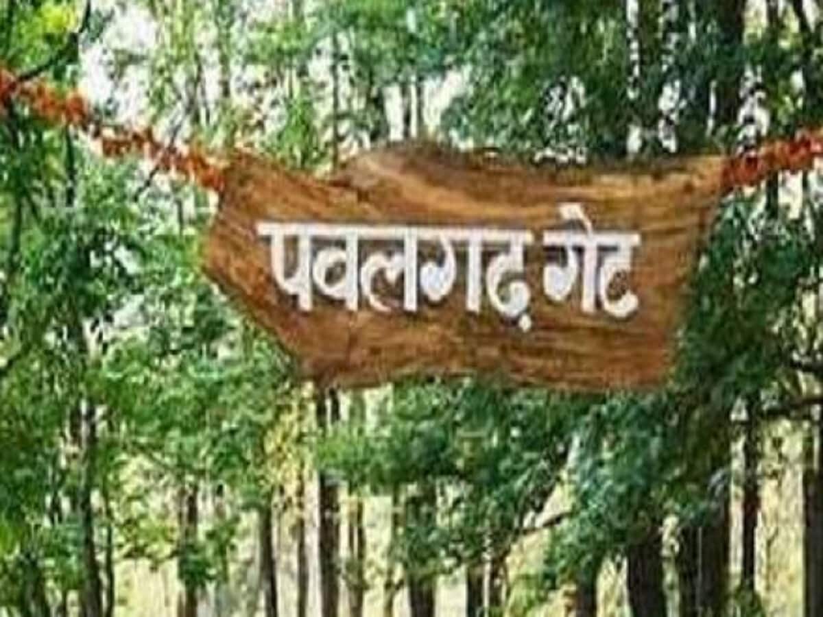 रॉयल बंगाल टाइगर-एशियाई हाथी के घर पवलगढ़ कंजर्वेशन रिजर्व को मिलेगा नया नाम, प्राण प्रतिष्ठा 22 जनवरी के बाद होगी यह पहचान रॉयल बंगाल टाइगर-एशियाई हाथी के घर पवलगढ़ कंजर्वेशन रिजर्व को मिलेगा नया नाम, प्राण प्रतिष्ठा 22 जनवरी के बाद होगी यह पहचान