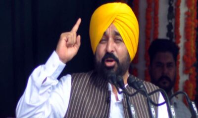 Chandigarh Mayor Election results punjab cm Bhagwant Mann says to appeal supreme court – India Hindi News