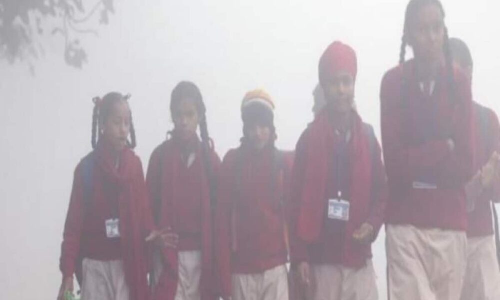 Punjab School Opening Timing Change 1st Jan 2024 10 Am Know Details