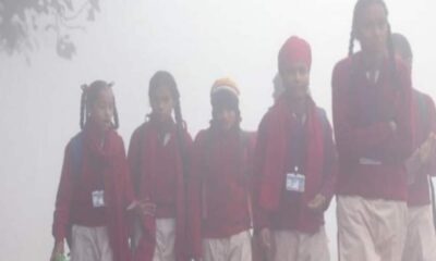 Punjab School Opening Timing Change 1st Jan 2024 10 Am Know Details