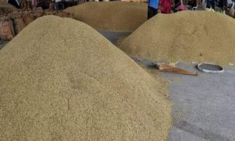धान खरीदी के अंतिम चरण पर प्रदेश में कोचिए हुए सक्रिय, अवैध परिवहन पर कार्रवाई, दूसरे राज्य से पहुंच रहा ट्रक