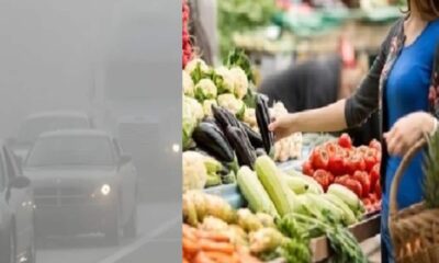 कोहरे से सब्जियों के दाम बढ़े, टमाटर, गोभी-प्याज के रेट करेंगे हैरान