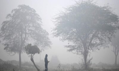 छत्तीसगढ़ में पढ़‌ सकती‌ है जनवरी की सबसे ज्यादा ठंड, कई हिस्सों में गुरुवार को हुई बारिश