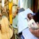 Why the delay in free ration distribution this month Date has not come yet know the reason