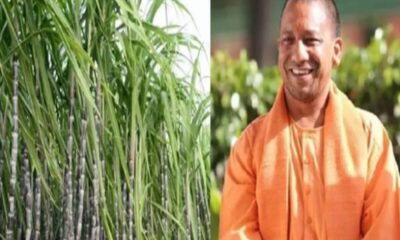 after friendship of bjp rld sugarcane farmers of up can get this good news yogi government preparing