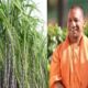 after friendship of bjp rld sugarcane farmers of up can get this good news yogi government preparing