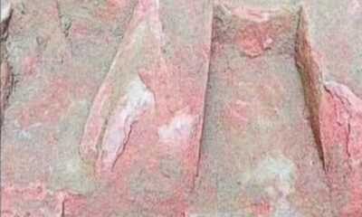 यूपी के इस जिले में खुदाई के दौरान मिले प्राचीन मूर्ति के अवशेष, 1500 साल पुराना होने का दावा