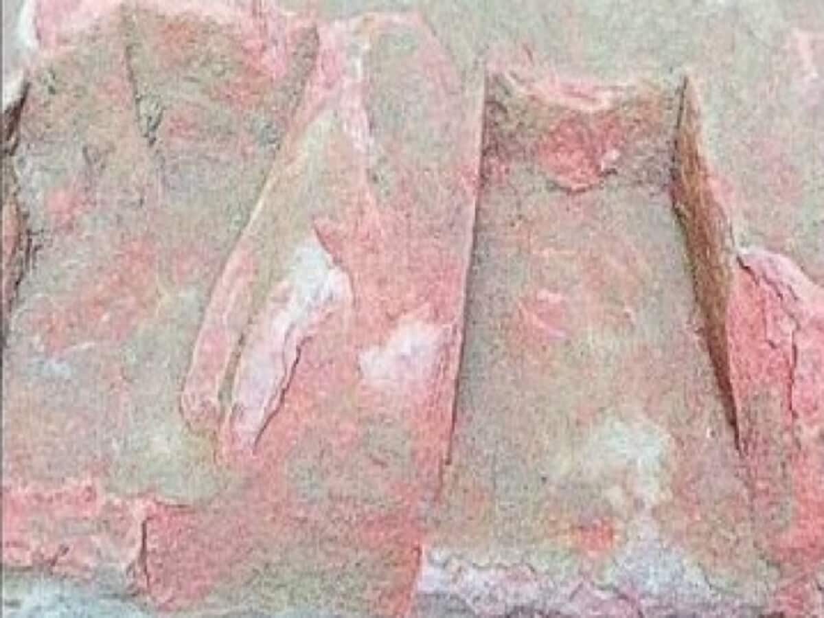 यूपी के इस जिले में खुदाई के दौरान मिले प्राचीन मूर्ति के अवशेष, 1500 साल पुराना होने का दावा यूपी के इस जिले में खुदाई के दौरान मिले प्राचीन मूर्ति के अवशेष, 1500 साल पुराना होने का दावा