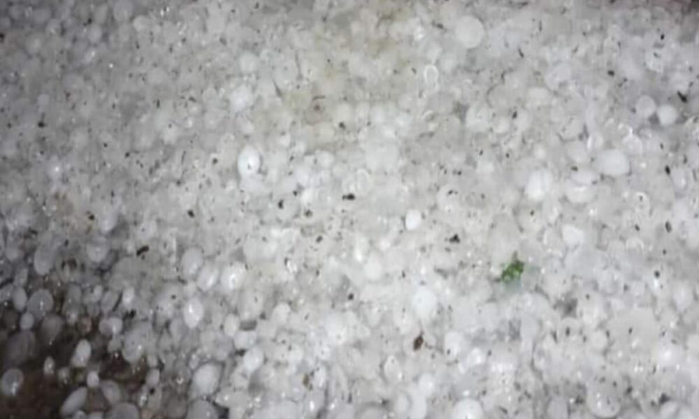 mp weather update rainfall very likely over mp know madhya pradesh mausam ka hal