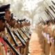 Bumper recruitment in Chhattisgarh Police Department four lakh applications received for 5967 posts process continues
