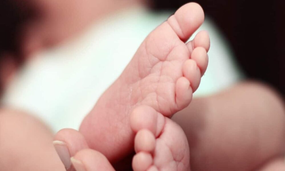 MP News: पिता के लिए दूसरी बेटी बनी बोझ, 20 दिन की मासूम को झाड़ियों में फेंका