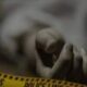 दिल्ली के डाबड़ी इलाके में घर से 3 लाशें मिलने से सनसनी, भीतर से लॉक था दरवाजा