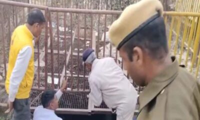 Three dead bodies found in a well girl was hanging on the shore alwar police suspects triple murder – कुएं में तीन डेड बॉडी, किनारे लटक रहा था लड़की का शव; पुलिस बोली