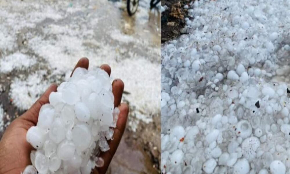 madhya pradesh weather update orange and yellow alert of heavy rainfall and hailstorm in mp