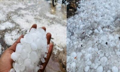madhya pradesh weather update orange and yellow alert of heavy rainfall and hailstorm in mp
