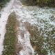 chhattisgarh weather forecast rainfall with thunderstorms and hailstorms over chhattisgarh