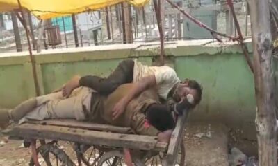 Damoh News: शराब के नशे में हाथ ठेले पर पड़ा था शराबी कांस्टेबल, जबलपुर नाका के समीप का नजारा