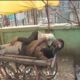 Damoh News: शराब के नशे में हाथ ठेले पर पड़ा था शराबी कांस्टेबल, जबलपुर नाका के समीप का नजारा