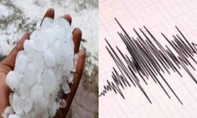 madhya pradesh mausam news imd issued rainfall and hailstorms alert know mp weather update