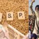 Modi government doubled MSP in 10 years for some crops although not giving guarantee law Know- problems – India Hindi News – 10 साल में MSP दोगुनी तक कर चुकी है मोदी सरकार, फिर गारंटी क्यों नहीं दे रही; जानें