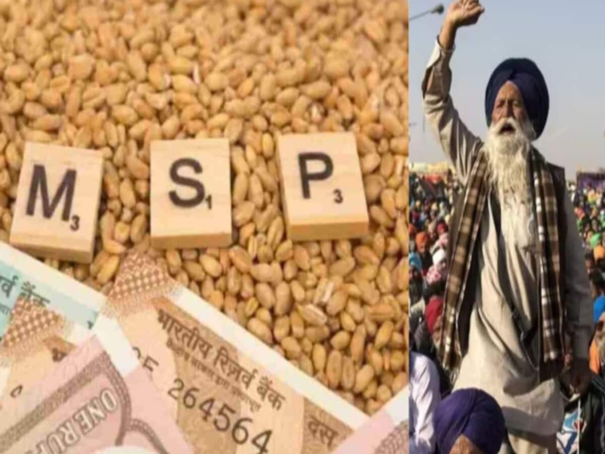 Modi government doubled MSP in 10 years for some crops although not giving guarantee law Know- problems – India Hindi News – 10 साल में MSP दोगुनी तक कर चुकी है मोदी सरकार, फिर गारंटी क्यों नहीं दे रही; जानें Modi government doubled MSP in 10 years for some crops although not giving guarantee law Know- problems – India Hindi News – 10 साल में MSP दोगुनी तक कर चुकी है मोदी सरकार, फिर गारंटी क्यों नहीं दे रही; जानें