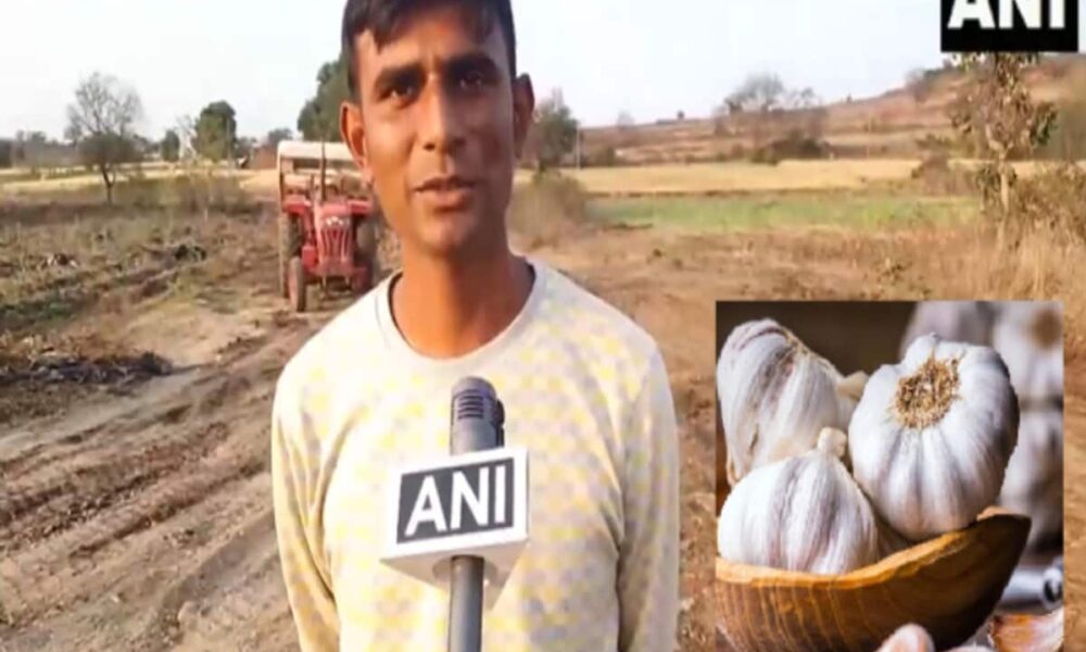 farmer became millionaire by cultivating garlic cultivator chhindwara rahul deshmukh story – लहसुन की खेती कर करोड़पति बना किसान, 13 एकड़ में लगाई थी फसल, कैसे कामयाबी