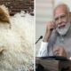 जयपुर में 29 रुपए किलो में मिलेगा चावल, कल से यहां-यहां लगाई जाएगी वैन